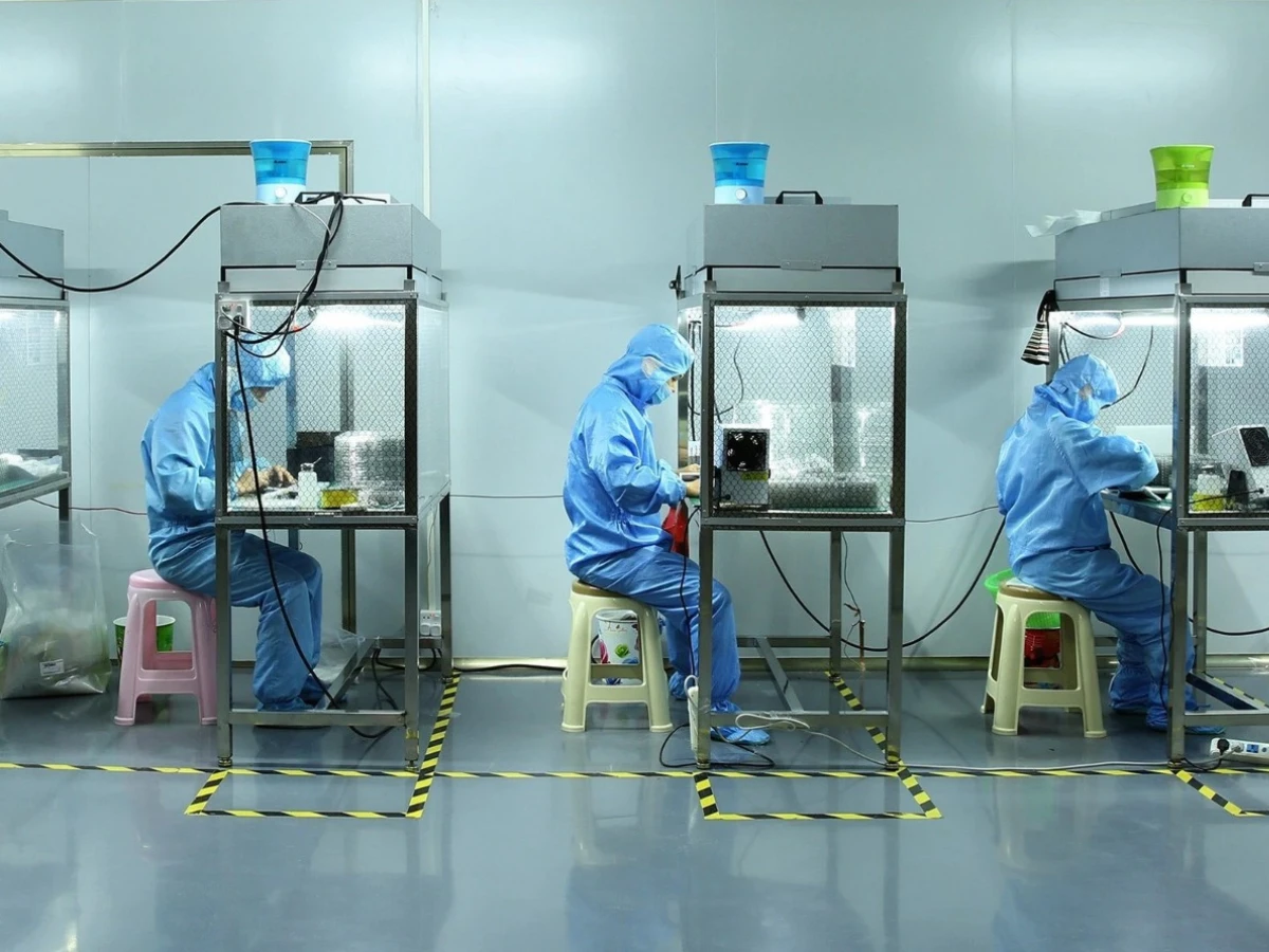clean-benches for electronics factory clean-benches for electronics factory